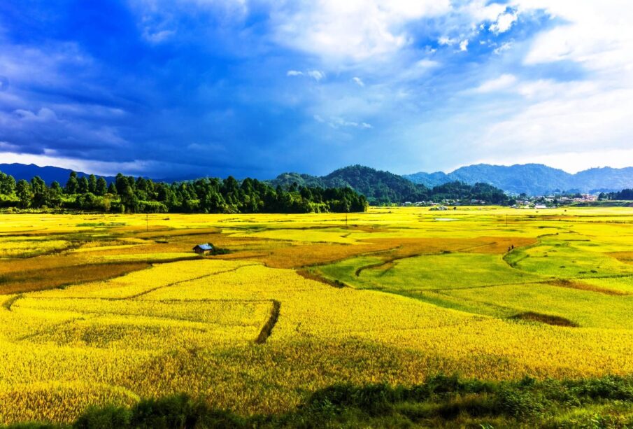 tourist place in ziro